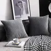Housse de coussin en velours rayé, 2 pièces/ensemble, housse de luxe douce, élégante, décorative, nordique, pour canapé-lit
