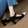 Dress Shoes Women High-Heeled Chunky Heels Famele Mary Jane Clasp Vintage Ladies Color Matching Temperament Pumps