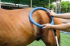 Clinica veterinaria Utilizzare 6000 GAUSS PEMF Terapia magnetica Teraco di trattamento del cavallo Dispositivo di oscillazione profonda Sollievo dal dolore e riparazione delle ossa PMST PEMF MACCHINA