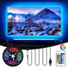 1M 2M 5M RGB LED -remsljus SMD5050 Flexibel USB inte vattentät LED -ljusremsa Backlight Tejp 5V Lribbon LED -remsor för rum W2286P