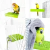 Otros suministros para mascotas Perchas calentadas Termostático Soporte para loros Plataforma de percha 5W Accesorios para jaulas para periquitos Loros y pájaros pequeños 231211