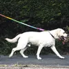 Halsbanden Hondenriemen Kleurrijke Hondenriem Rond Katoen Honden Halstouw Schattig Regenboog Huisdier Lange riemen Riem Buiten Hondenuitlaatservice Leidtouwen Touwen 231212