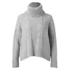 Pulls pour femmes col roulé femmes hiver automne couleur unie à manches longues pull polaire doublé chaud tricots pulls de fond