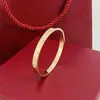 Bracelets en or pour hommes femmes bijoux de mode bracelets classiques style sud-américain luxe or 18 carats rose argent plaqué titane dia211S