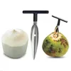 Outil d'ouverture de noix de coco en acier inoxydable, poinçon d'eau, perceuse de robinet, paille, trou ouvert, coupe cadeau, outils d'ouverture de fruits