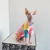 Kostiumy kota bezwłosie ubrania kota Sfinx deven Rainbow Oddychający t-shirt Ubrania dla małych psów koszuli do kotów 231212