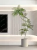 Fiori decorativi Jacaranda Piante verdi artificiali Soggiorno Bionic Indoor Grandi alberi in vaso dal pavimento al soffitto