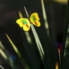 Väggklistermärken 12st 3D Butterfly PVC Självhäftande tapeter Färgglada klistermärke vardagsrumsfönster Dekal Heminredning 231211