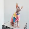 Costumi per gatti Vestiti per gatti senza peli Sphinx Deven Arcobaleno T-shirt traspirante Vestiti per animali domestici per cani di piccola taglia Camicia Abbigliamento per gatti 231212