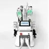 Machine de congélation des graisses par cryolipolyse, Cavitation ultrasonique amincissante, équipement Laser RF Lipo pour la perte de poids