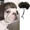 Altri articoli per cani Parrucche per animali Accessori per Halloween Capelli ricci Lisci Gatti Divertenti P o Oggetti di scena 231211