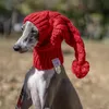 Andere hondenbenodigdheden Whippet Winter Wollen Hoed Rood Huisdier Italiaanse Windhond Kerstcadeau Met Haarbal 231211