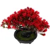 Dekorativa blommor konstgjorda krukväxter falska växter träd små ornament bonsai realistiska simulering plast