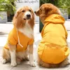 Abbigliamento per cani Abbigliamento invernale per cappotto piccolo Giacca Anorak Accessori Chihuahua Pug Felpa con cappuccio Bull The Nord Face Puppy Costume medio