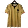 23 24 Venezia Soccer Jerseys Henry Gold Aramu Vacca Jr Tessmann Venice Maglia 2023 2024 BUSIO JOHNSEN CUISANCE FOOTBOY