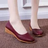 Zapatos de vestir Otoño Bombas de mujer Moda Punta redonda Tacones de cuña poco profundos Diario Fondo suave Slip-on Office Lady Tacón pequeño Cuero