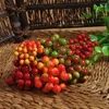 Flores decorativas grinalda de natal frutas artificiais planta arranjo festa suprimentos simulação cerejas buquê acessórios multicolorido