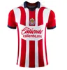 2023 2024 Chivas de Guadalajara Soccer Jerseys Liga Mx Camisa de futbol Men Kit Beltran Dia de los Muertos Football Shirt