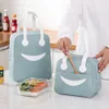 Nouveaux sacs d'extérieur, sac à déjeuner à la mode, sac isotherme Portable, pique-nique en plein air, travail, école, conteneur de stockage des aliments, tissu Oxford épais