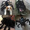 Pies ubrania pies halloween kostium piesek kot Halloween kostium pająka ubrania dla zwierząt puppy kota kostium 231212