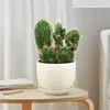 Flores decorativas cactus cactus plantas falsas decoraciones simulación suculenta espuma accesorios para el hogar verde