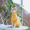 Cat Costumes Winter Clothes for Cat Stripped Cotton 4-legged Coat For Sphnx Long sleeves Undershirt for Kittens Devon Rex Jumpsuit 231212