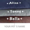 Penne per canili Cuccia per cani personalizzata Cuccia per cani Divano letto per cani Tappetini per cuccioli personalizzati Nome stampato Cuscino per animali domestici per cani di taglia piccola, media e grande Gatti 231212