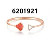 Kedjor Sackart Necklace Armband Ringörhängen Lyxsmycken Anpassad global varumärkessamling av samma designkategori