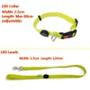 Dog Training Obedience Light Up Leash With Collar Set Waterproof PVC Rope USB Rechargeable Glow In The Dark Visiable Safety Night Walking 231212