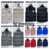 Warm Body Wärmer Gillet Herren Gilet Herren Designer Weste BodyWarmer Westen Gänse Gilet Gans Weste Reporter gesundes Stand Park GooseBerry schrecklich laufende Weste kalt haben