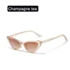 Solglasögon Fashion Cat Eye for Women Small Frame Retro Trendiga Streetwear Accessories Protection Eyewear UV400 Glassar