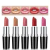 Paarse Lipstic Make-up Matte lippenstiften Waterdichte langdurige lippen Make-uptools Groothandel in bulk