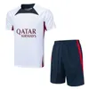 축구 셔츠 키트 정장 파리 축구 유니폼 23 24 훈련 유니폼 키트 축구 셔츠 2023 2024 Camisetas Short Sleeve Men Kit Jersey Set