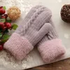 Gants d'hiver pour femmes, version coréenne, mignonnes mitaines en velours épais en peluche, pour équitation, étudiants chauds et froids, marée douce pour sœur