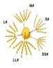 Bouchon de flotteur en caoutchouc, arrêt de ligne de Bobber de pêche, haricots spatiaux, boîte de matériel de pêche, leurre ovale, 17854499