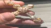 Handgefertigte Hochzeits-Halskette aus 18 Karat Gold für Damen und Herren, christliche Anhänger, Sona-Diamantmalerei, voller feiner Schmuck, vier Stile6840483
