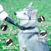 Hundetraining Obedience Haustierhalsband Hundehalsleine Nylon-Verkehrsleine großes militärisches kurzes Laufseil Metallschnalle Welpenzubehör 231212