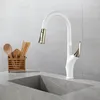 Robinets de cuisine robinet d'évier en laiton de luxe, conception de robinet d'eau froide extractible, poignée à un trou de haute qualité