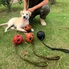 Brinquedos para cães mastiga couro cão treinamento bola brinquedo cão bola rebocador brinquedo com uma alça brinquedo de mordida de cachorro macio filhote de cachorro brinquedo de recompensa para buscar pegar jogar brinquedos para animais de estimação 231212