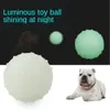 Hundespielzeug kaut leuchtenden Ball für Hunde, langlebiges Gummi, bissfest, zum Zusammendrücken, Haustierspielzeug, Dichtung, Anti-Stress, fluoreszierend, interaktives Zubehör für Hunde und Welpen, 231212