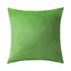 Taie d'oreiller en velours massif, housse de coussin minimaliste pour décoration de canapé de maison