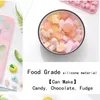 Stampi da forno Tipi Sugarcraft Stampo in silicone Contagocce Griglie Gummy Animal Fondente Cioccolato Caramelle Stampo Torta Decorazione Strumenti Resina Art 231213