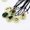 Resin real insect necklace glow-in-the dark insect amber pendant gift