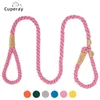 Dog Training Obedience Cotton Leash Collar Slip Lead for Medium Large Leather Preventer P Chain Pet Comfortable 231212