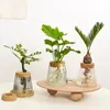 Vases Simple Transparent Glass Flower Pot Home Decorative Hydroponic Bottle Creative Craft Ornaments Greenery Desktop 231212