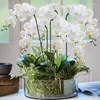 Kwiaty dekoracyjne 6 szt. Sztuczny orchidea prawdziwy dotyk lateks duży biały 37 -calowy 9 fałszywy phalaenopsis kwiat domowy dekoracja ślubna