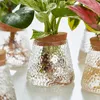 Vases Simple Transparent Glass Flower Pot Home Decorative Hydroponic Bottle Creative Craft Ornaments Greenery Desktop 231212