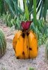 Arte messicana Cactus in metallo Cortile domestico Decorazione del giardino Scultura Inserto nel prato Decorazione esterna impermeabile Simulazione Palla decorativa 6969787