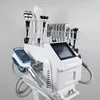 Máquina de adelgazamiento de lipólisis congelada de 360 grados con máquina de criolipólisis de 3 manijas criogénicas portátil