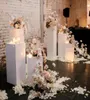 Decorazione per feste 3 pezzi Zoccolo per matrimonio mentale intero Espositore in acrilico trasparente bianco rotondo per eventi Yudao9314124761